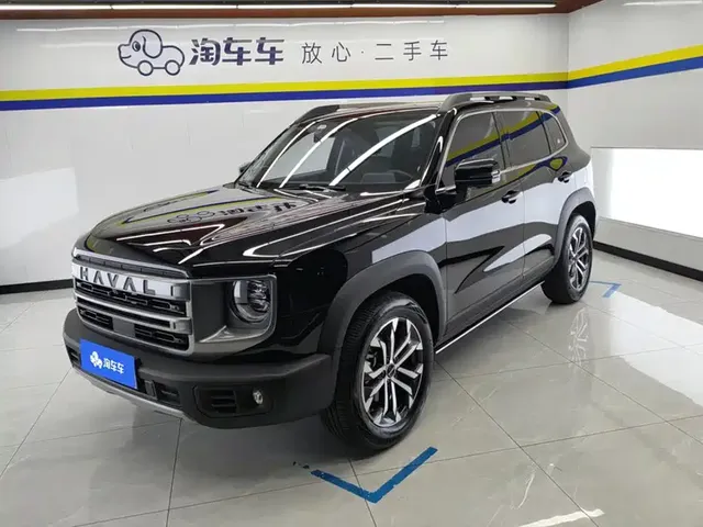 Haval Big Dog 2024 1.5T DCT Border Collie Edition