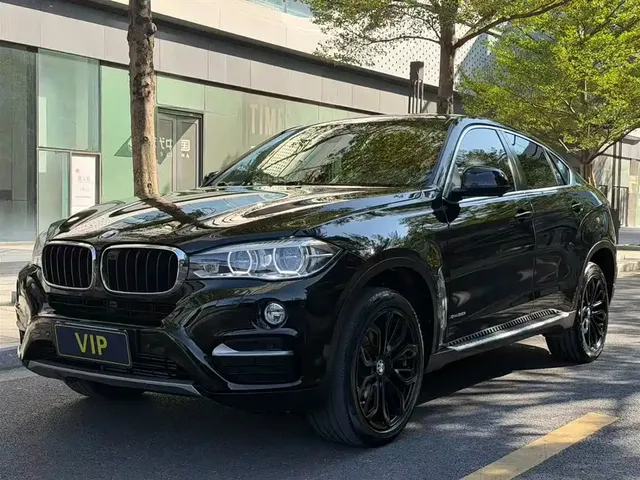 BMW X6 2018 xDrive35i Leading Model