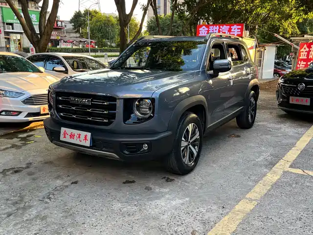 Haval Big Dog 2021 1.5T DCT 2WD Labrador Edition