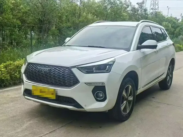 Haval H6 Coupe 2018 Red Label 1.5T Auto 2WD Luxury Edition