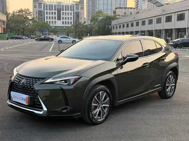 Lexus UX Electric 2020 300e Pure Yue Edition