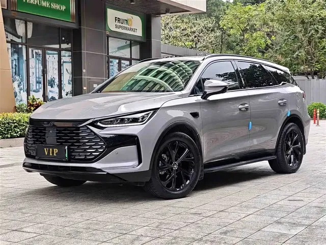 BYD Tang New Energy 2025 Smart Driving Edition DM-i 115KM Flagship