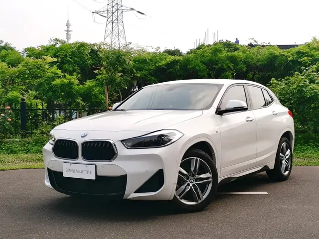 BMW X2 2020 sDrive25i Leading M Sport Package
