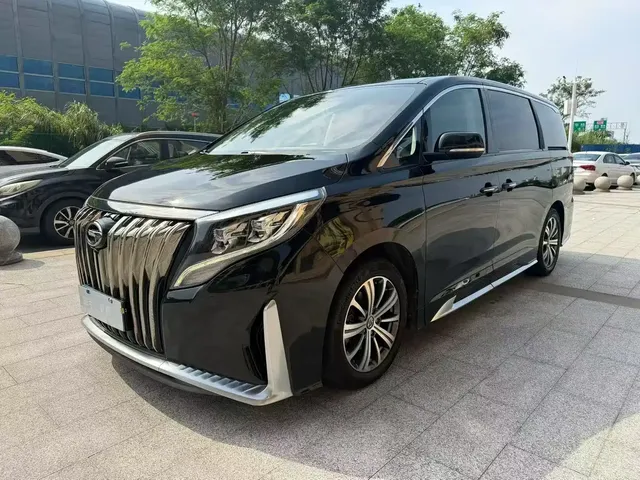 GAC Trumpchi M8 2020 Master Edition 390T Premium