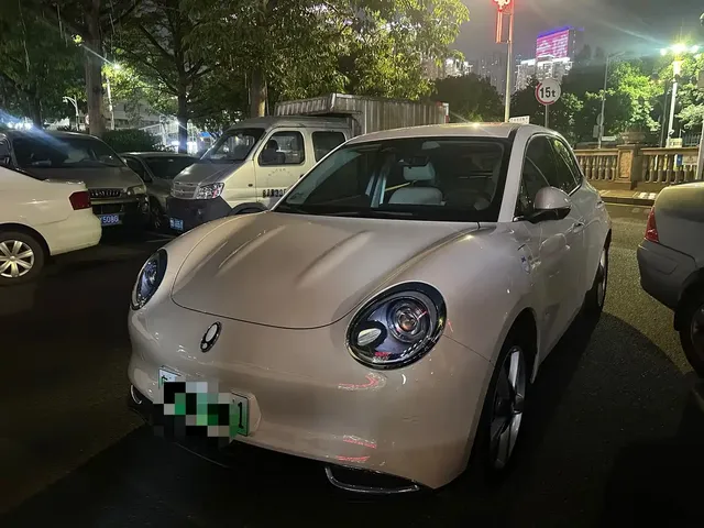 Ora Good Cat 2024 401km Luxury