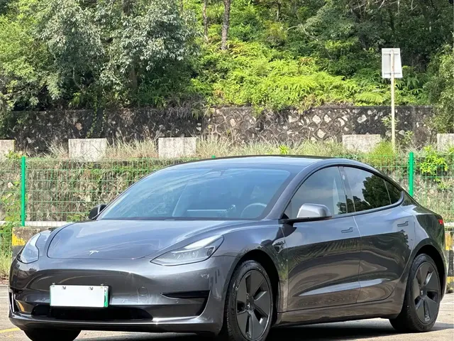 Tesla Model 3 2021 Standard Range Rear-Wheel Drive Upgrade