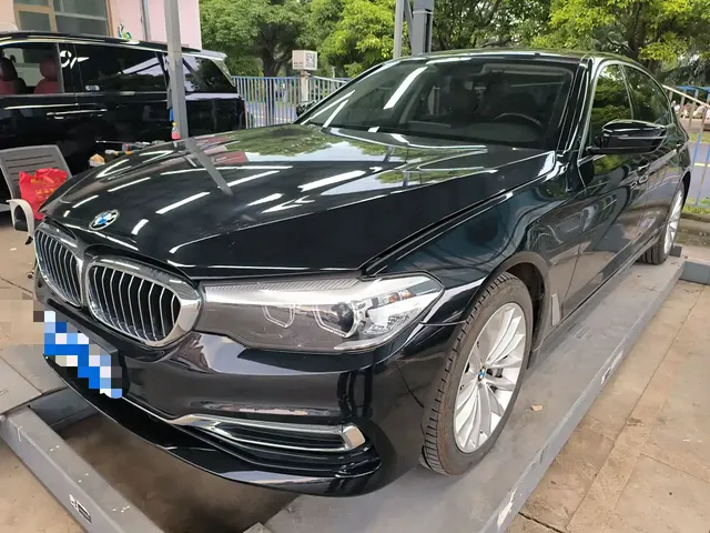 BMW 5 Series 2019 530Li Leading Luxury Package