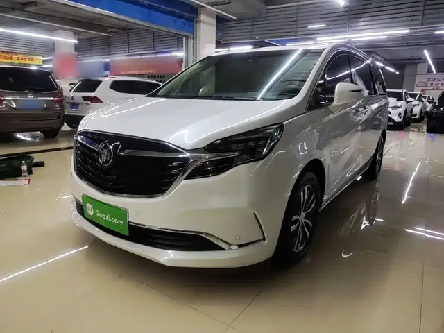 Buick GL8 2022 ES Landmark 653T Premium