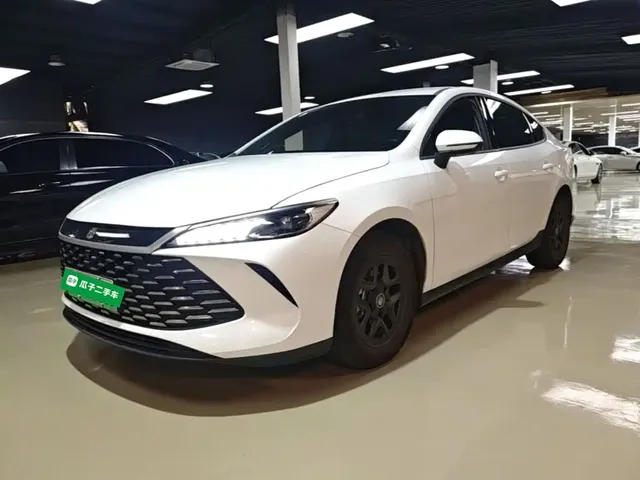 BYD Qin PLUS 2025 DM-i Smart Drive 55KM Leader