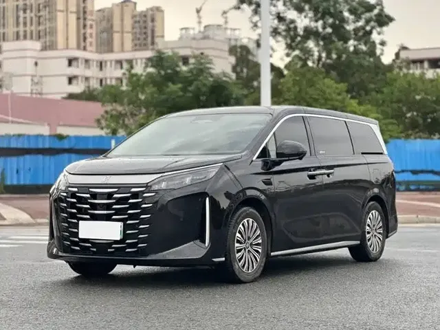 BYD Xia 2025 DM-i 1.5T 180km Surpass Edition