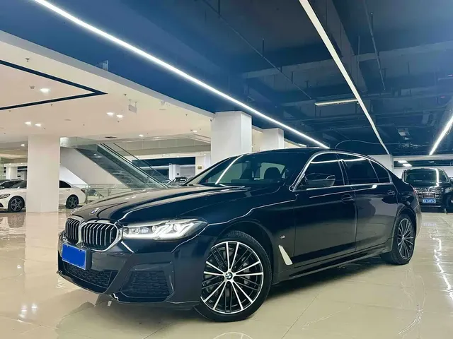 BMW 5 Series 2022 530Li Leading Luxury Package