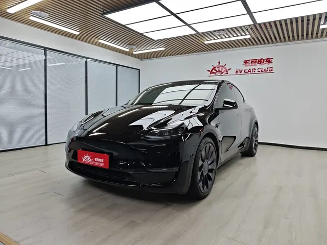 Tesla Model Y 2022 Performance High-Performance All-Wheel Drive Version