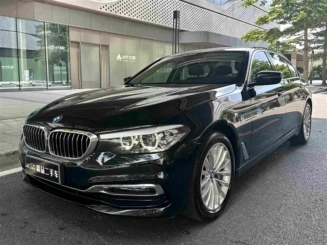 BMW 5 Series 2019 530Li Leading Luxury Package