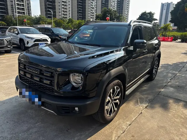 Haval Big Dog 2024 1.5T DCT Border Collie Edition
