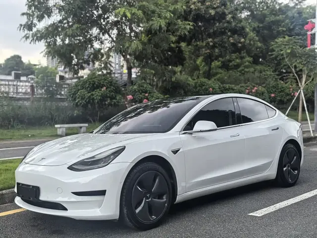 Tesla Model 3 2020 Standard Range Rear-Wheel Drive Upgrade