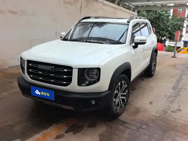 Haval Big Dog 2021 1.5T DCT 2WD Border Collie Edition