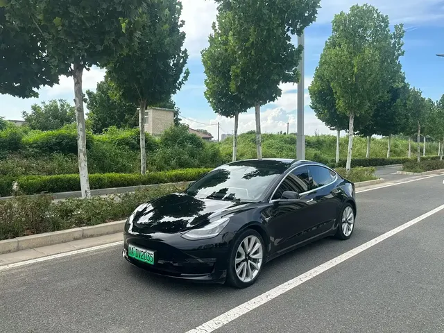 Tesla Model 3 2020 Facelift Long Range Rear-Wheel Drive