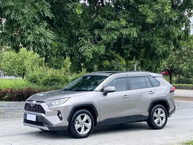 Toyota RAV4 Rongfang 2020 2.0L CVT 2WD Trend Edition