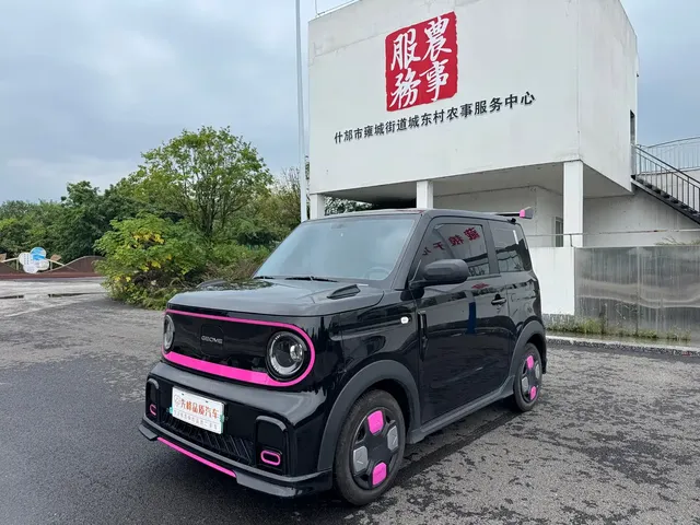 Geely Galaxy Panda 2025 Model Year 210km Panda Kart