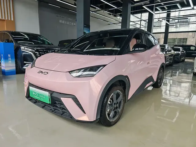 BYD Seagull 2024 Glory Edition 405km Soaring Edition