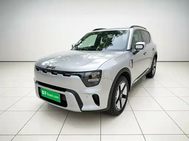 smart Genie #5 2026 Model 252km Standard Edition