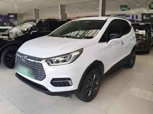 BYD Yuan New Energy 2019 EV535 Smart Connected Trend Leader Type