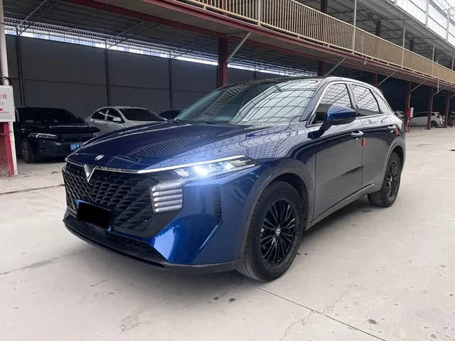 Venucia Big V 2022 260T Dark Horse Edition·Idol