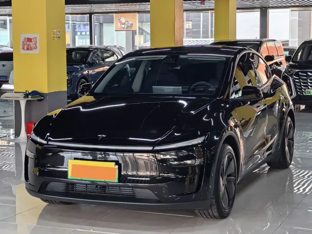Tesla Model Y 2025 Rear-Wheel Drive