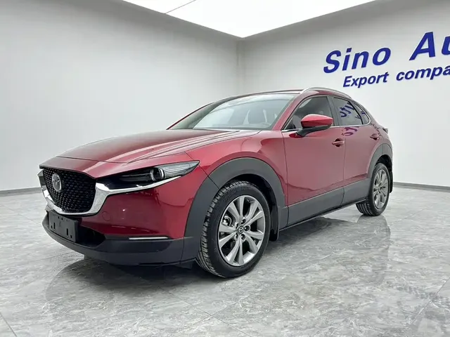 Mazda CX-30 2021 2.0L Auto Radiant Joy Type