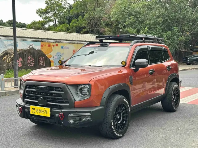 Haval Big Dog 2024 1.5T DCT Border Collie Edition