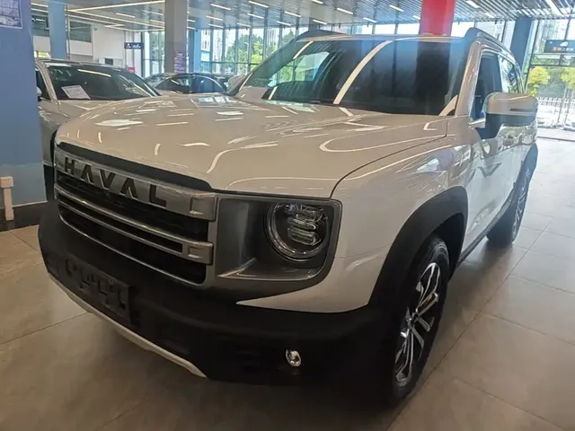 Haval Big Dog 2024 1.5T DCT Border Collie Edition