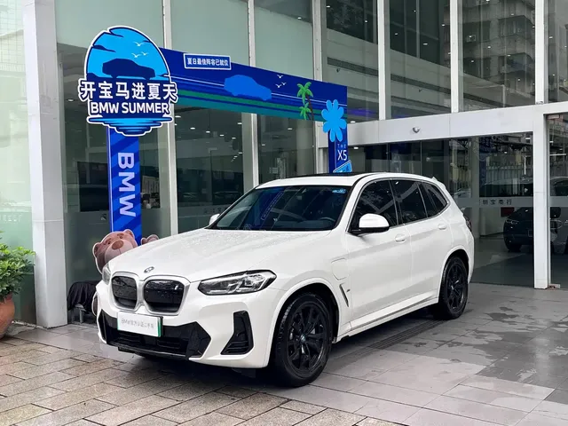 BMW iX3 2023 Leading Type