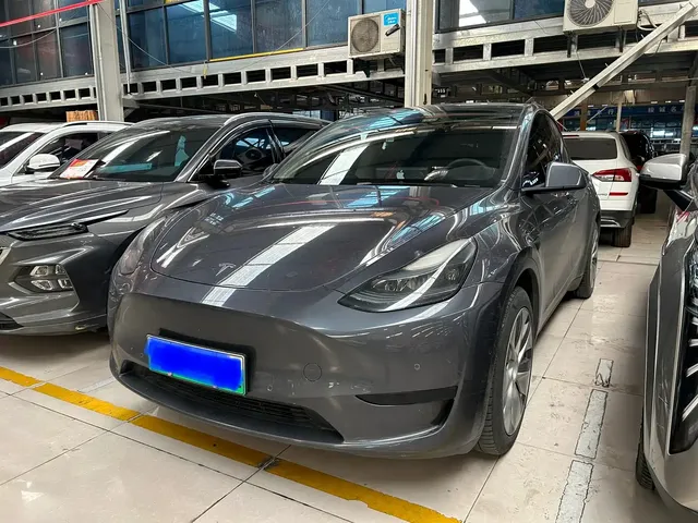 Tesla Model Y 2022 Rear-Wheel Drive Version