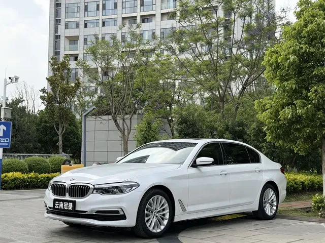 BMW 5 Series 2020 530Li Exclusive M Sport Package