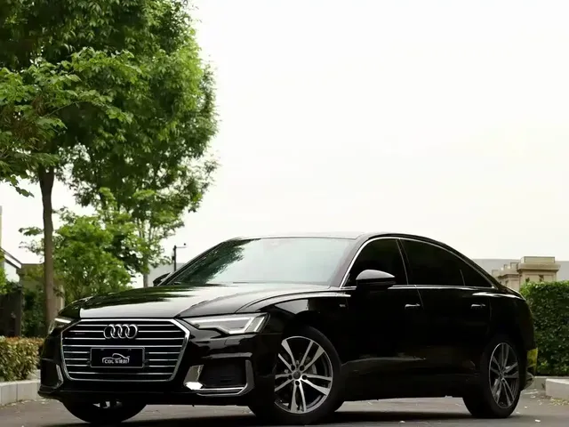 Audi A6L 2019 40 TFSI Luxury Dynamic