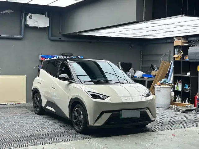 BYD Seagull 2024 Glory Edition 305km Freedom Edition