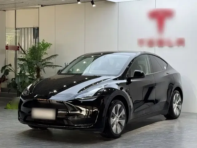 Tesla Model Y 2022 Rear-Wheel Drive Version