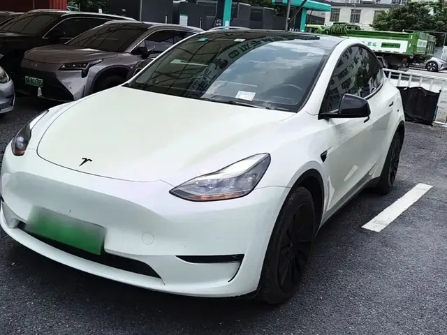 Tesla Model Y 2021 Long Range All-Wheel Drive 3D7