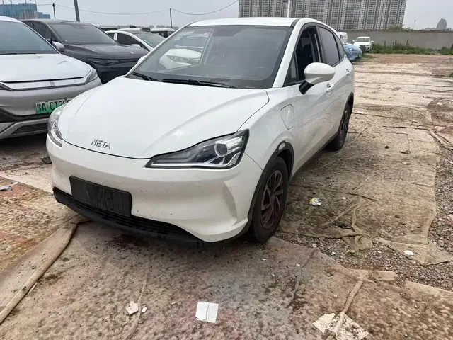 Nezha Auto Nezha V 2022 Tide 300 Lite Ternary Lithium