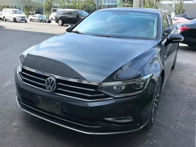 Volkswagen Magotan 2020 330TSI DSG Luxury