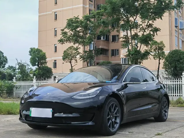 Tesla Model 3 2020 Standard Range Rear-Wheel Drive Upgrade