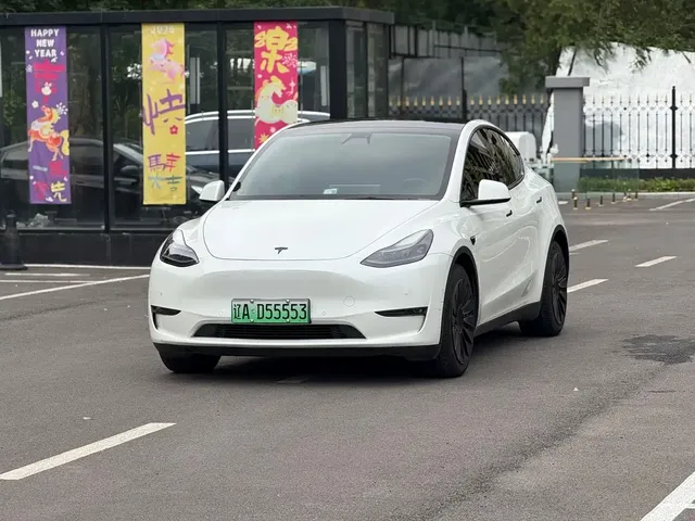 Tesla Model Y 2021 Standard Range Rear-Wheel Drive