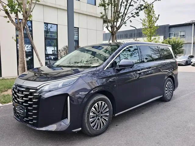 BYD Xia 2025 DM-i 1.5T 180km Excellence