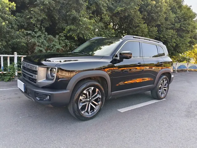 Haval Big Dog 2024 1.5T DCT Border Collie Edition