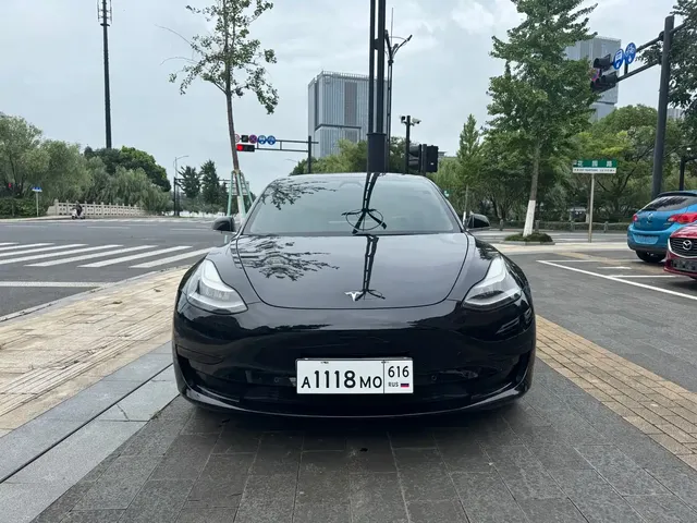 Tesla Model 3 2019 Standard Range Rear-Wheel Drive Upgrade