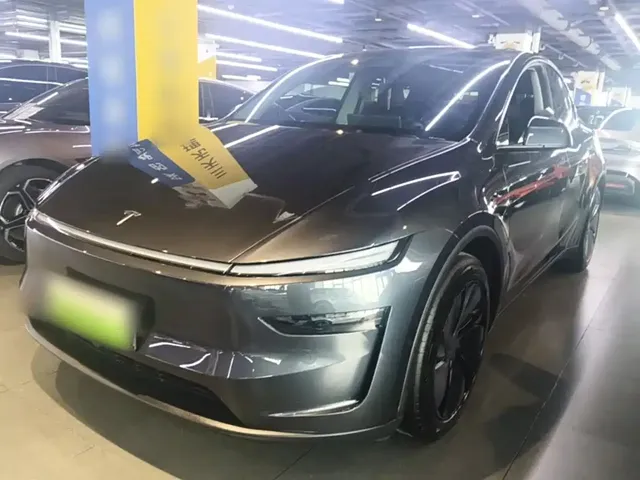 Tesla Model Y 2025 Rear-Wheel Drive