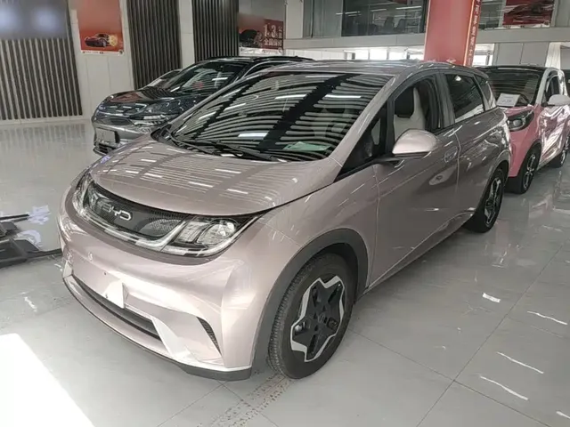 BYD Dolphin 2021 405km Freedom Edition