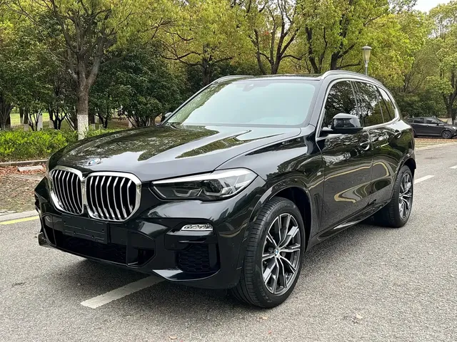 BMW X5 (Import) 2021 Facelift xDrive30i M Sport Package