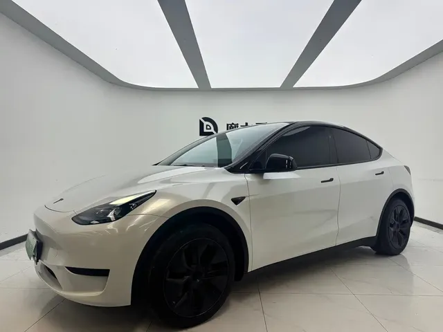 Tesla Model Y 2024 Rear-Wheel Drive Version