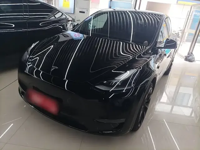 Tesla Model Y 2021 Standard Range Rear-Wheel Drive